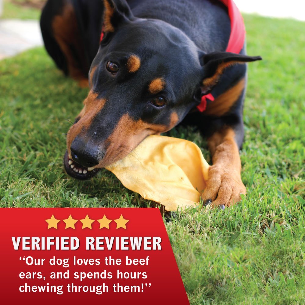 All Natural Beef Cow Ears DOG Treats in bulk Natural Flavor