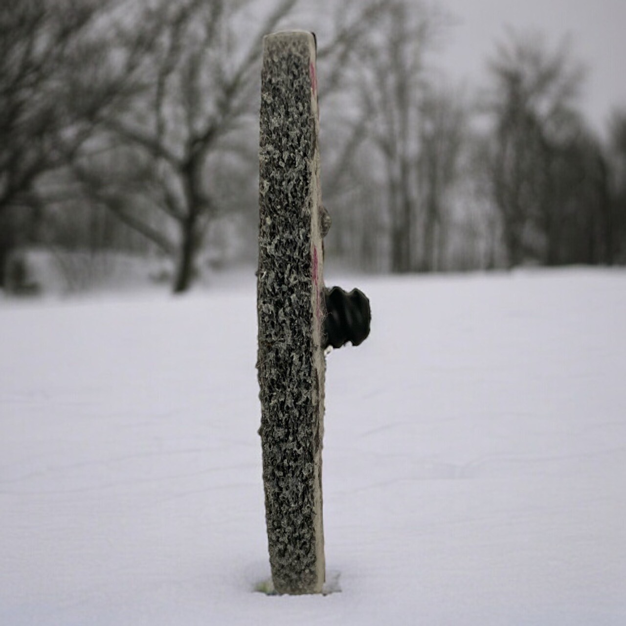 40 Each 3M Scotch-Brite 3" 2S FIN TR Roloc EXL Unitized Wheel 17184