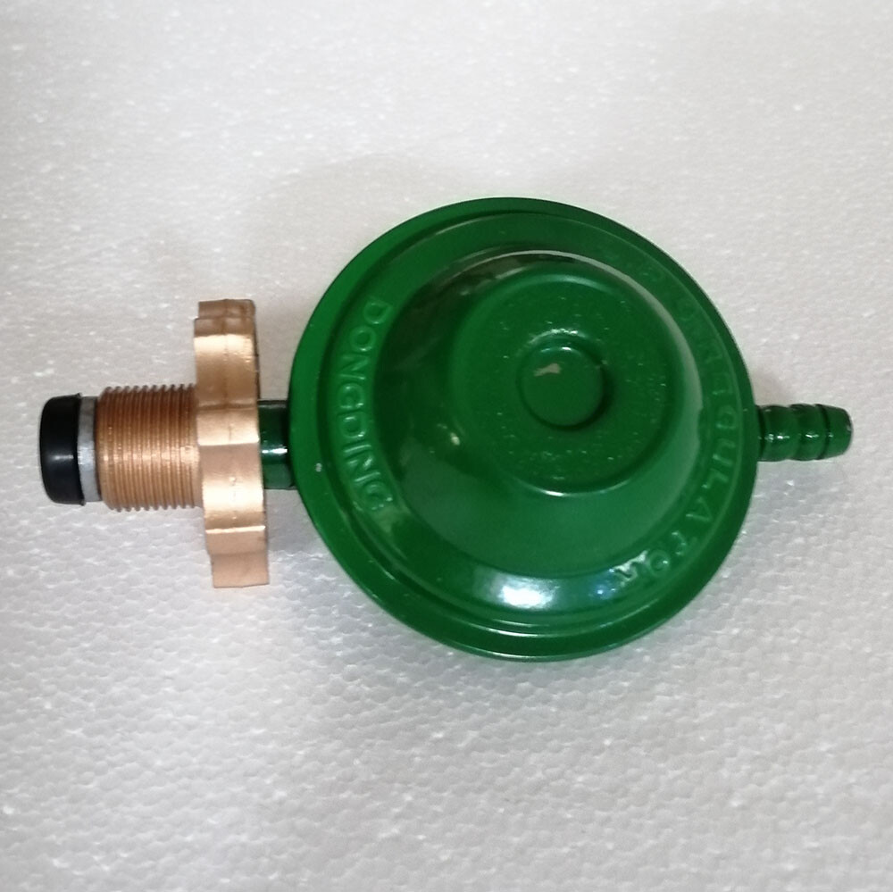 2800PA LP Gas Roast Duck Oven for Duck Chicken Pig Turkey Lamb Chop BBQ Cooking