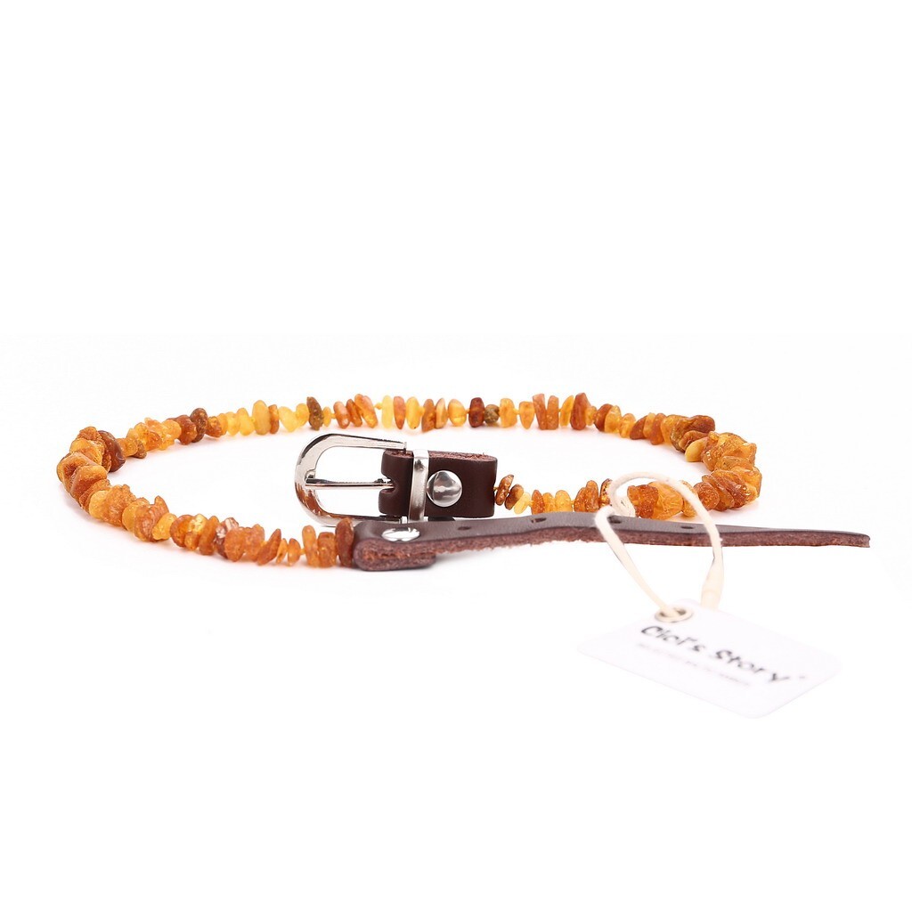Amber Collar for Dogs and Cats with Adjustable Leather Strap