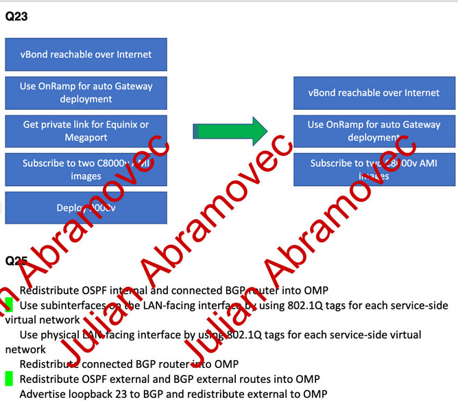 Cisco CCIE EI Lab Kit 2025 VM Ware Full topology/DOO Detailed Guide/DES section