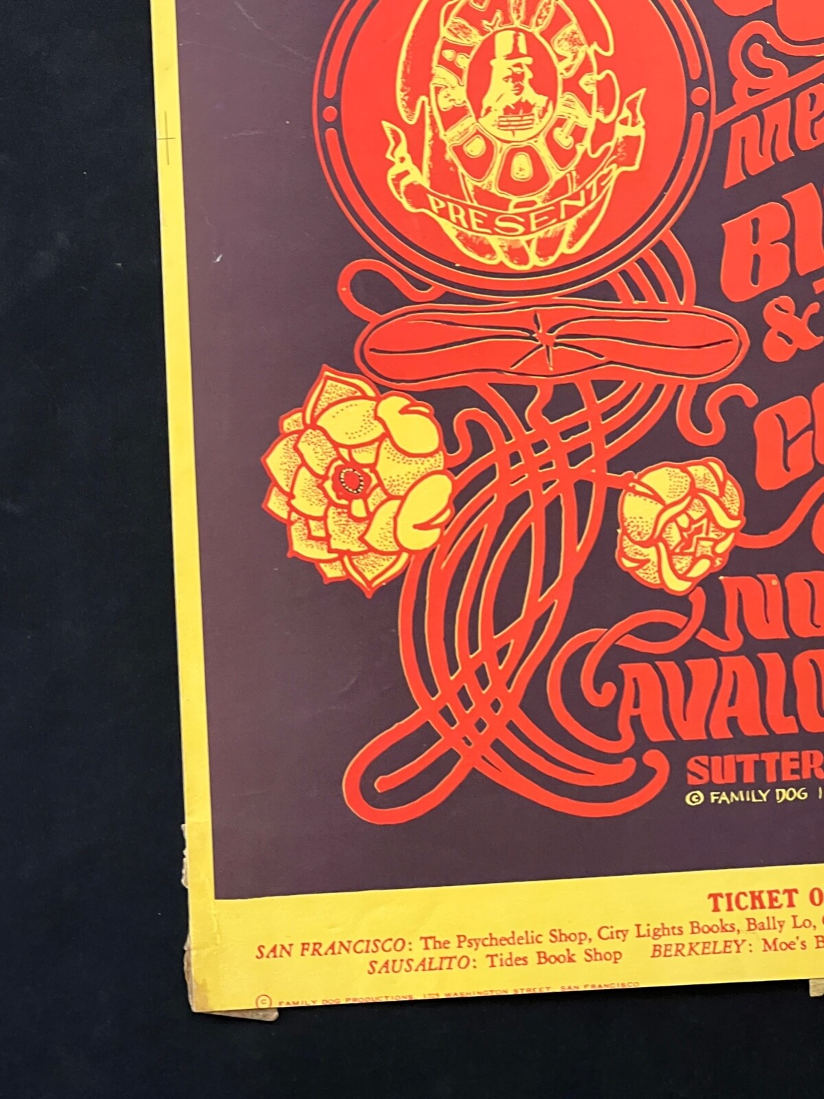 FD 36-3 Janis Joplin Thanksgiving Weekend 1966 Original Concert Poster Avalon