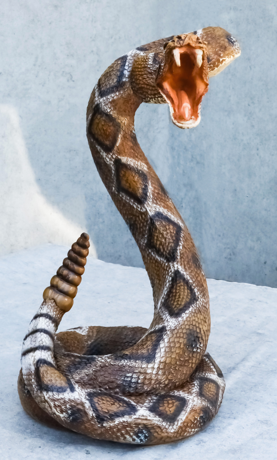 Realistic Attacking Coiled Diamondback Rattlesnake With Fangs Bared Figurine