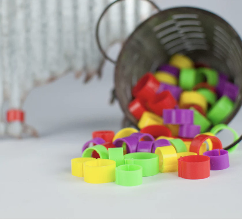 Happy Hen EZ Leg Bands, Write on Bands for Chickens, Small or Medium