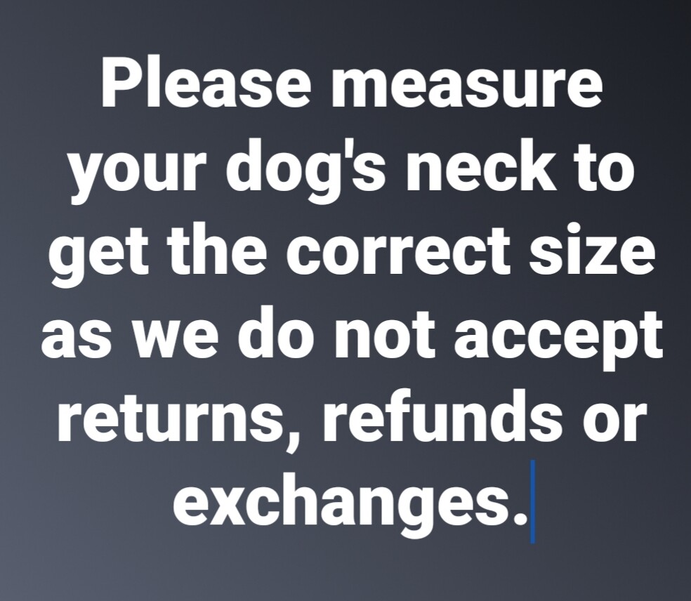 2" 3-Ply Nylon Heavy Duty Dog Collar for Pit Bull & Large Breeds