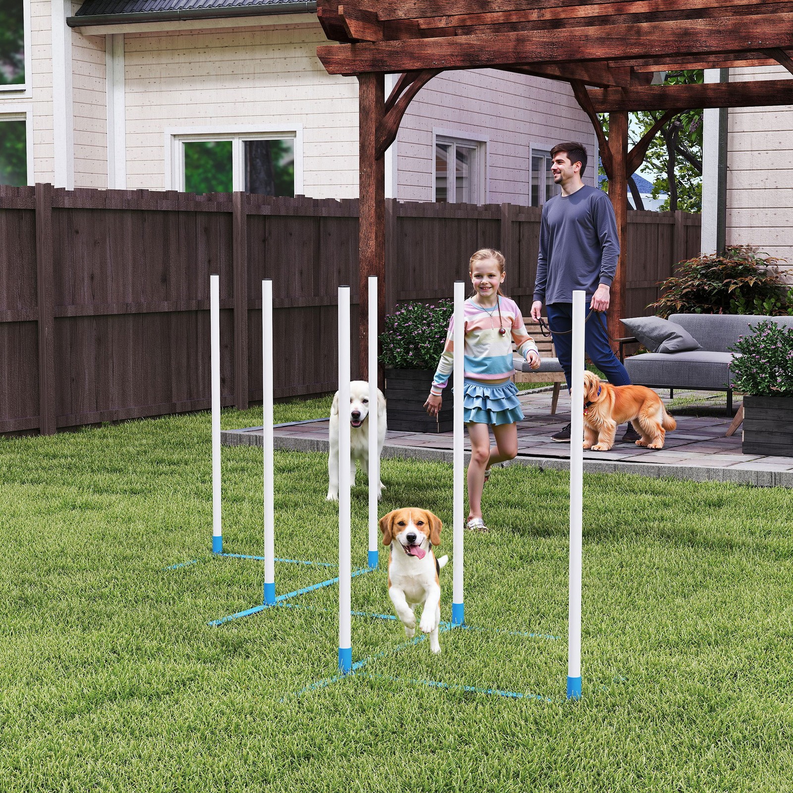 Dog Weave Pole Set Agility Starter Kit Pet Outdoor Exercise Training Set