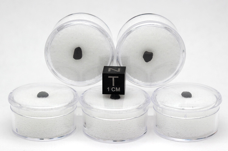 CHELYABINSK Meteorite Specimen Stone Chondrite RUSSIA w/ Case & ID Card