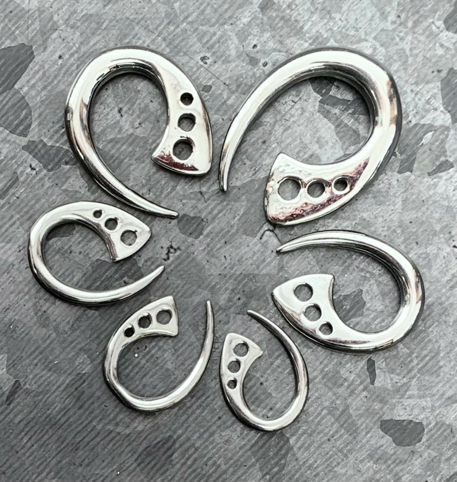 PAIR Surgical Steel Terrestrial Fin Tapers Ear Plug Earring Gauge Lobe Expander