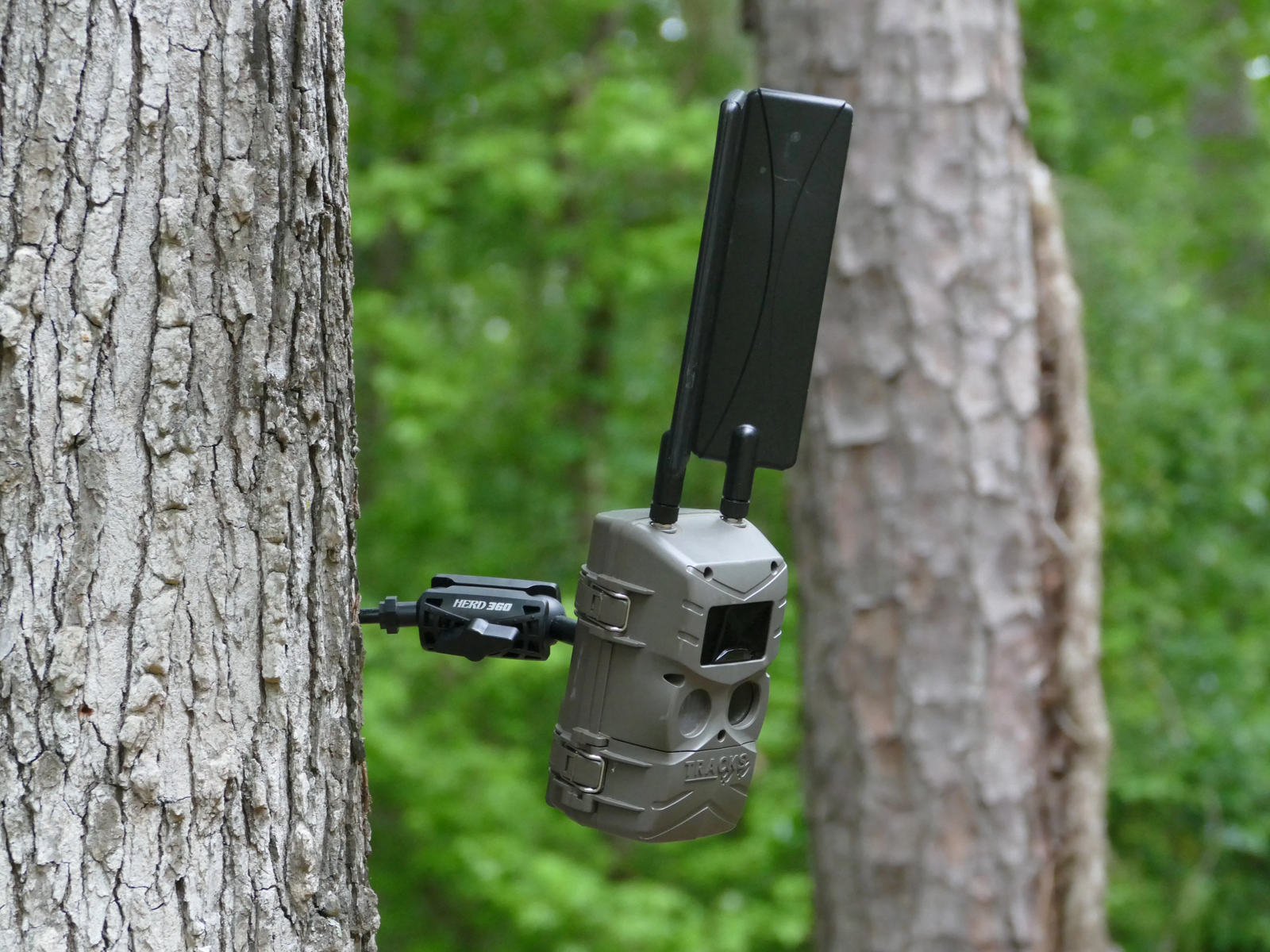 Tree Mount for Trail Camera Dual Ball Swivel