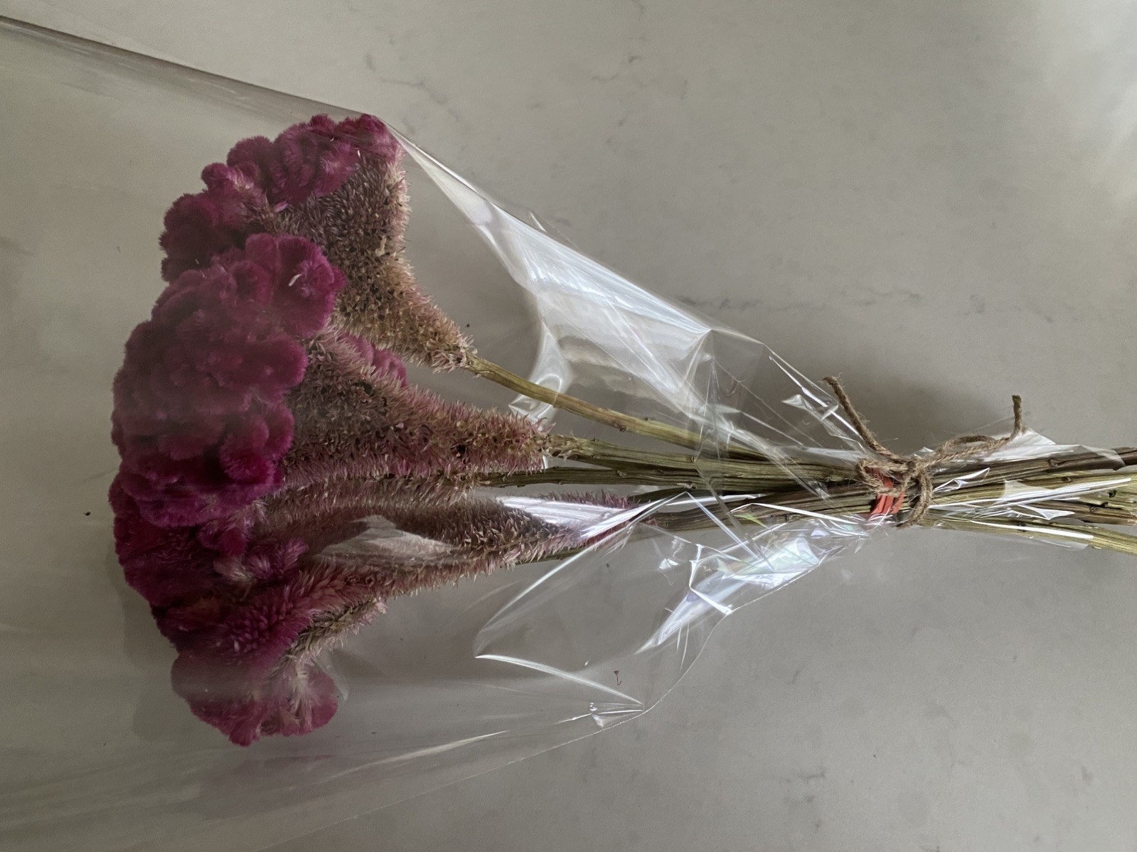 COCKSCOMB Celosia DRIED FLOWERS Bunch BOUQUET Bundle Wedding Assorted PINK HUES