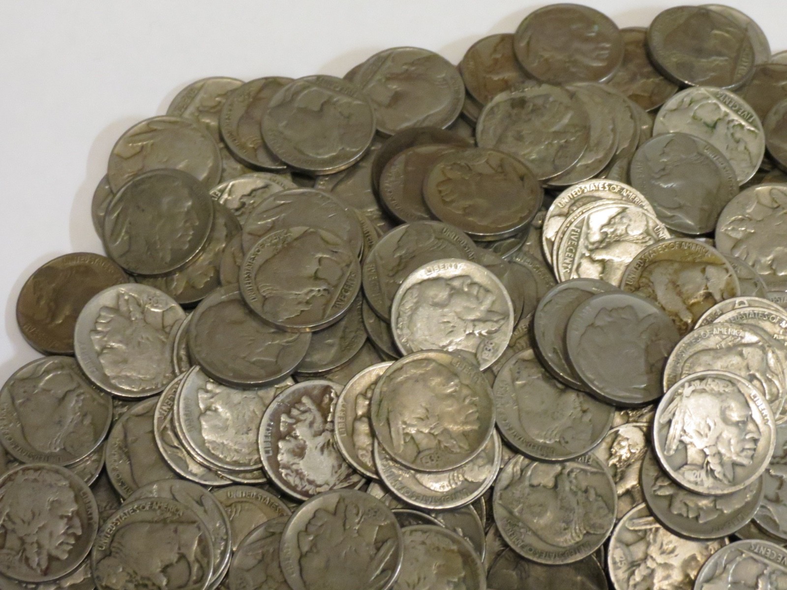500 Buffalo Nickels Bulk Lot P Mint Only Part Date to Strong Part Date 5c Coins