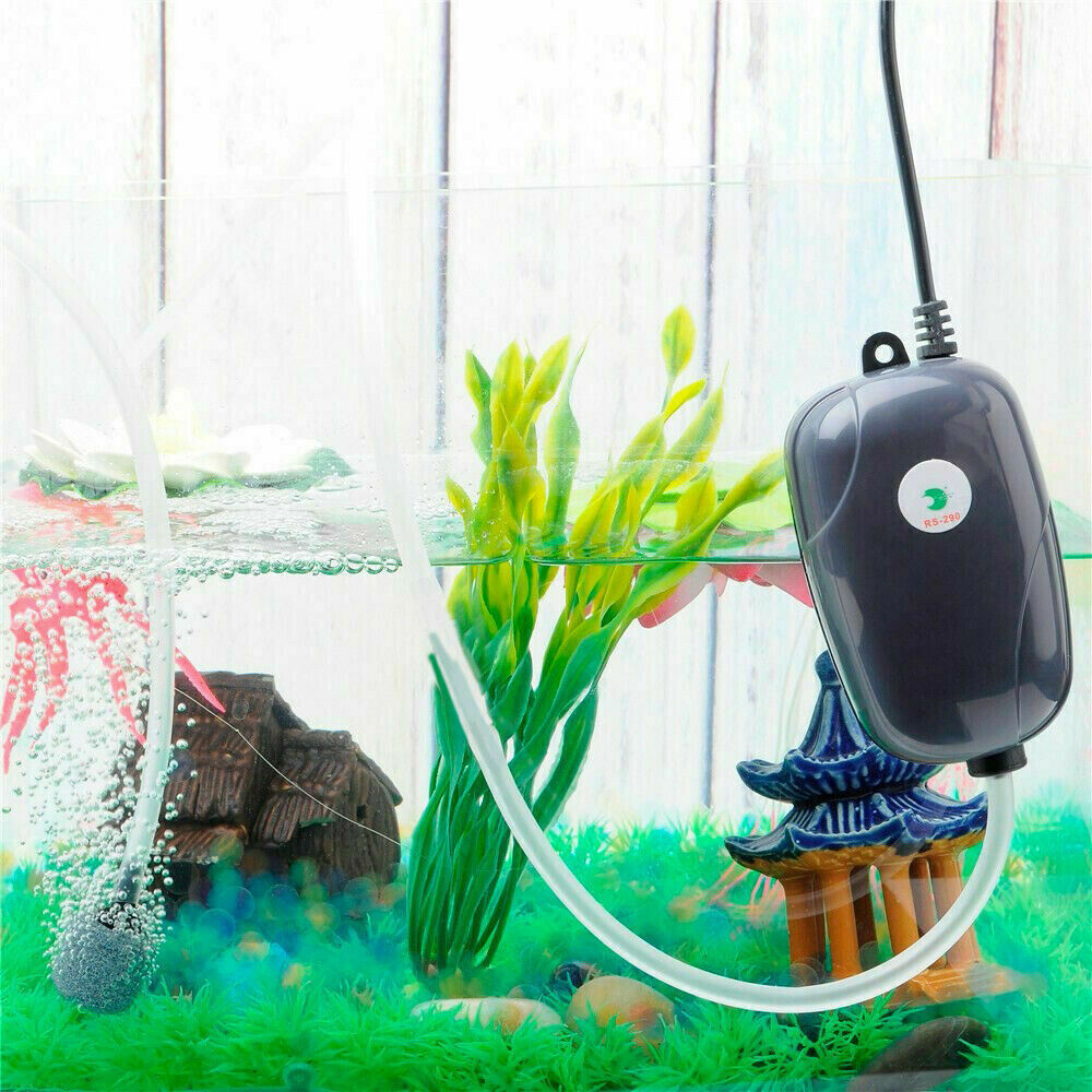 New Air Pump Large Aquarium Fish Tank Pump Hydroponic Oxygen 2 Outlet 5W Pump