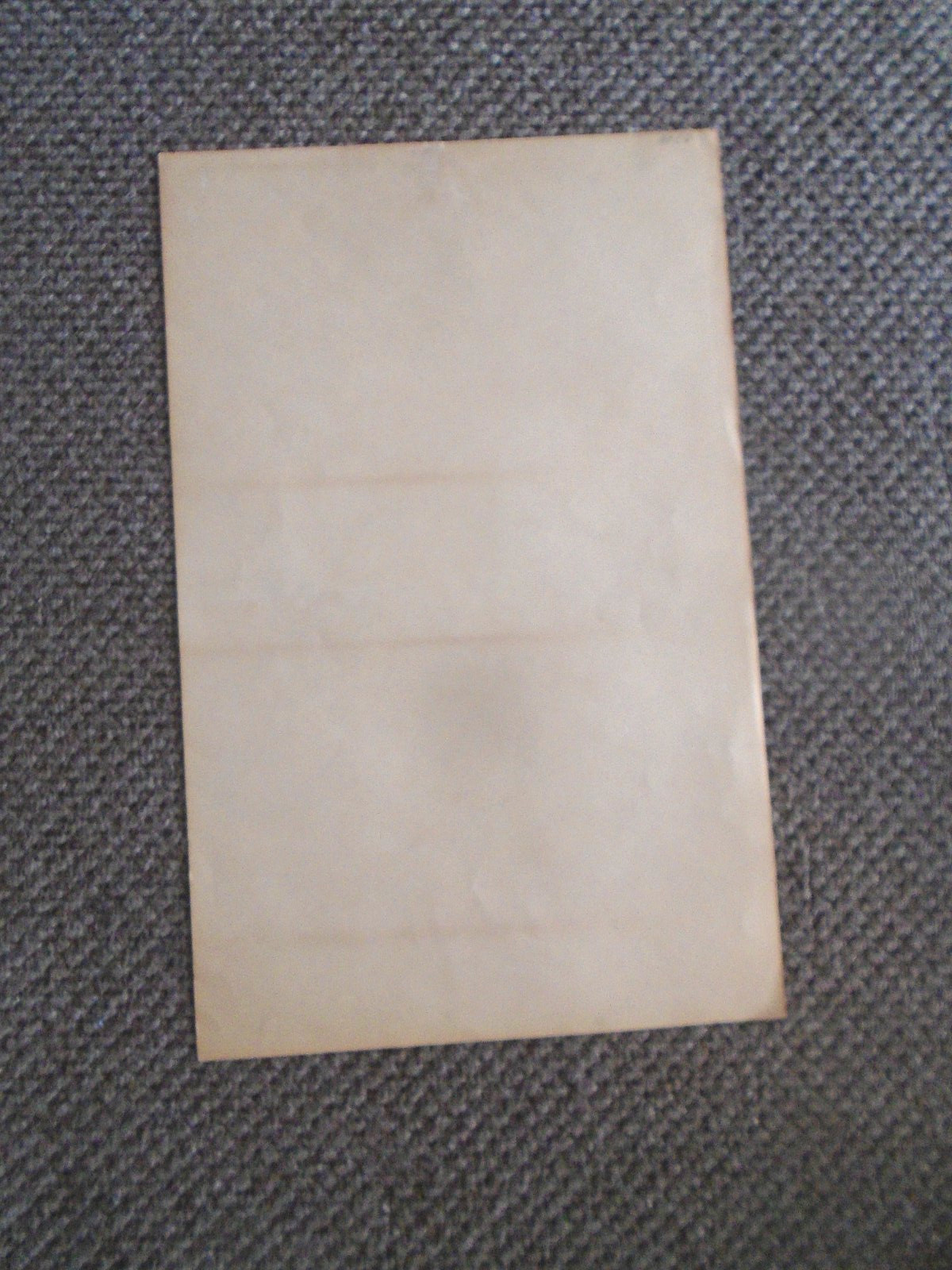 ORIGINAL CONCERT/MOVIE POSTER-ELVIS IN DOUBEL TROUBLE-1966_14 X 22 INCHES-NM