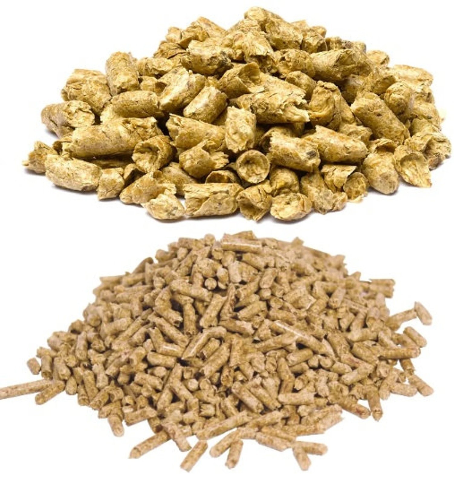 Nano Starter Package for Shrimp tanks - Freshwater Shrimp Snails Betta Fish Crab