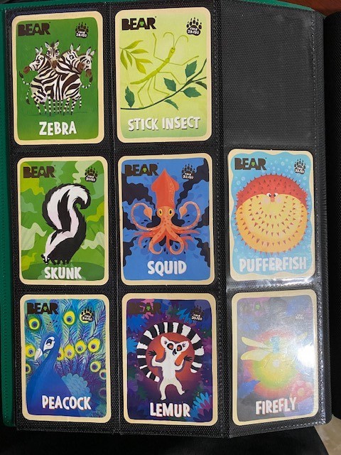 Bear Fruit Snack Animal Cards - Various animals - Complete Your Set!