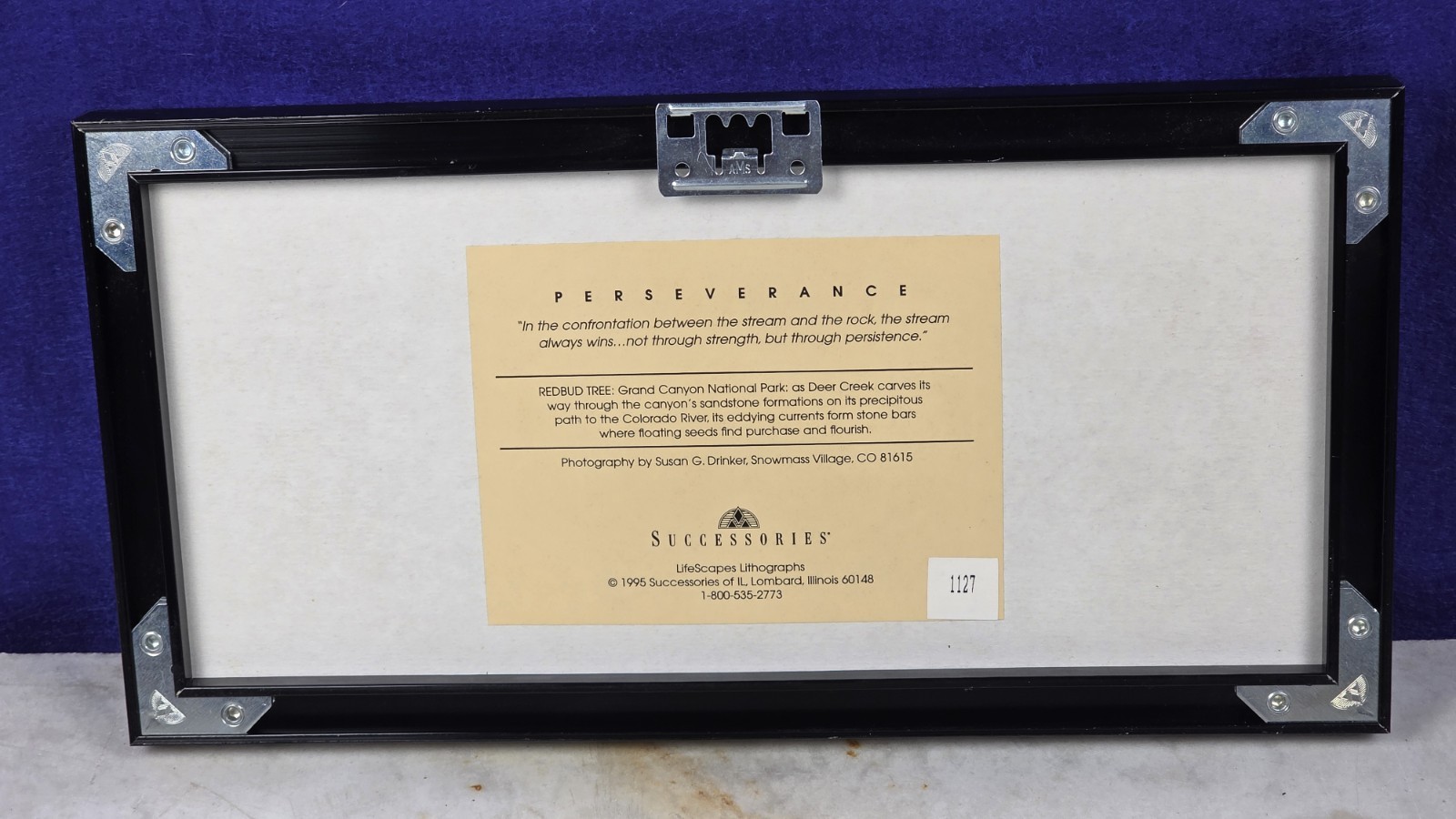 "PERSEVERANCE" Professional Framed Artwork - DECOR