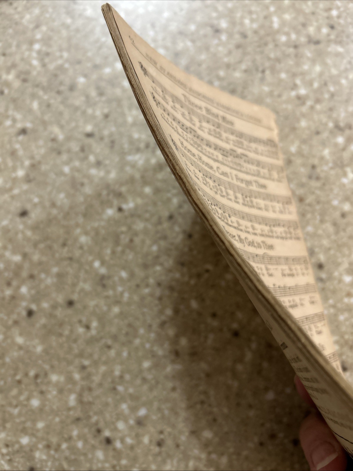 New Standard Endorsed Harmonica Course Vintage Music