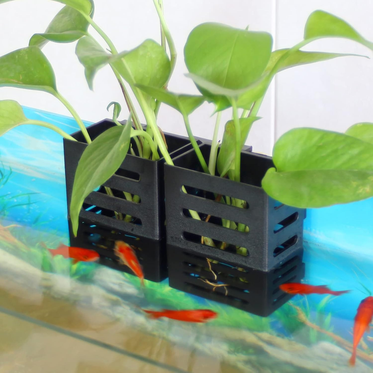 4 Pcs Aquarium Plant Holder, Fish Tank Plant Holder with Hooks and Suction Cups,