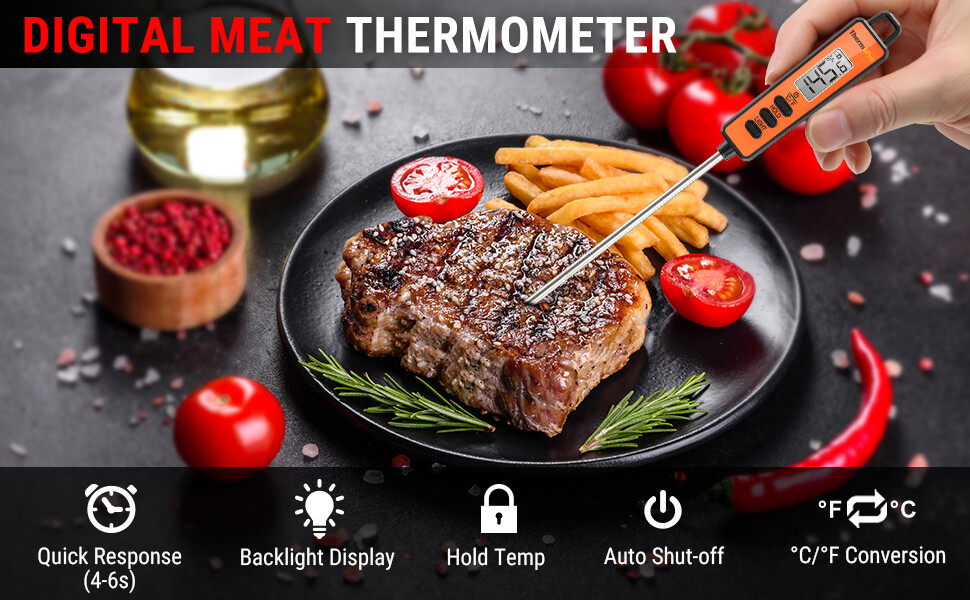 ThermoPro TP01A Digital Meat Thermometer with Long Probe For Kitchen Candy Oil