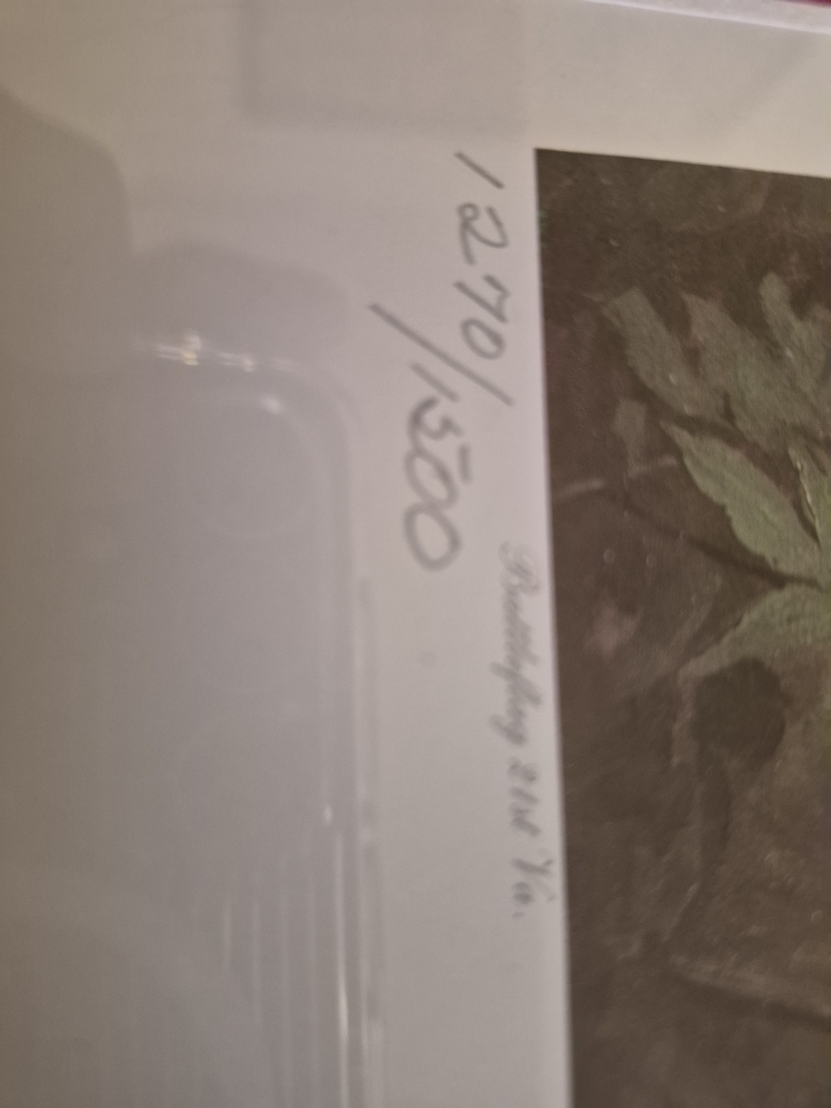 Don Troiani “Jackson Is With You!” Signed Limited Edition Print 1270/1500 COA