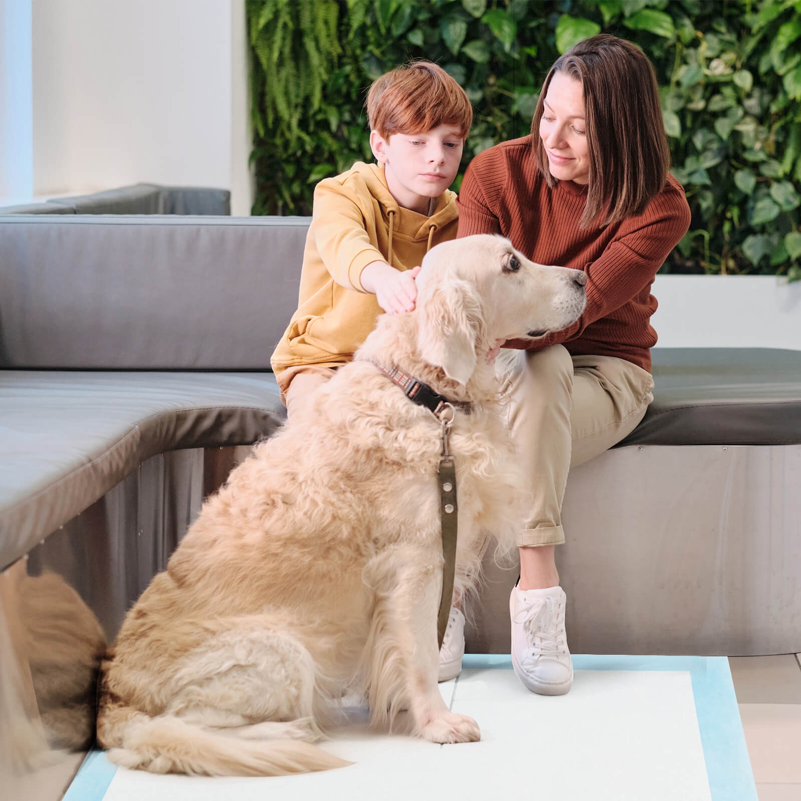 36"x 36"(100 Counts) Dog Potty Training Pads Puppy Pee Pads w/ Quick-Drying