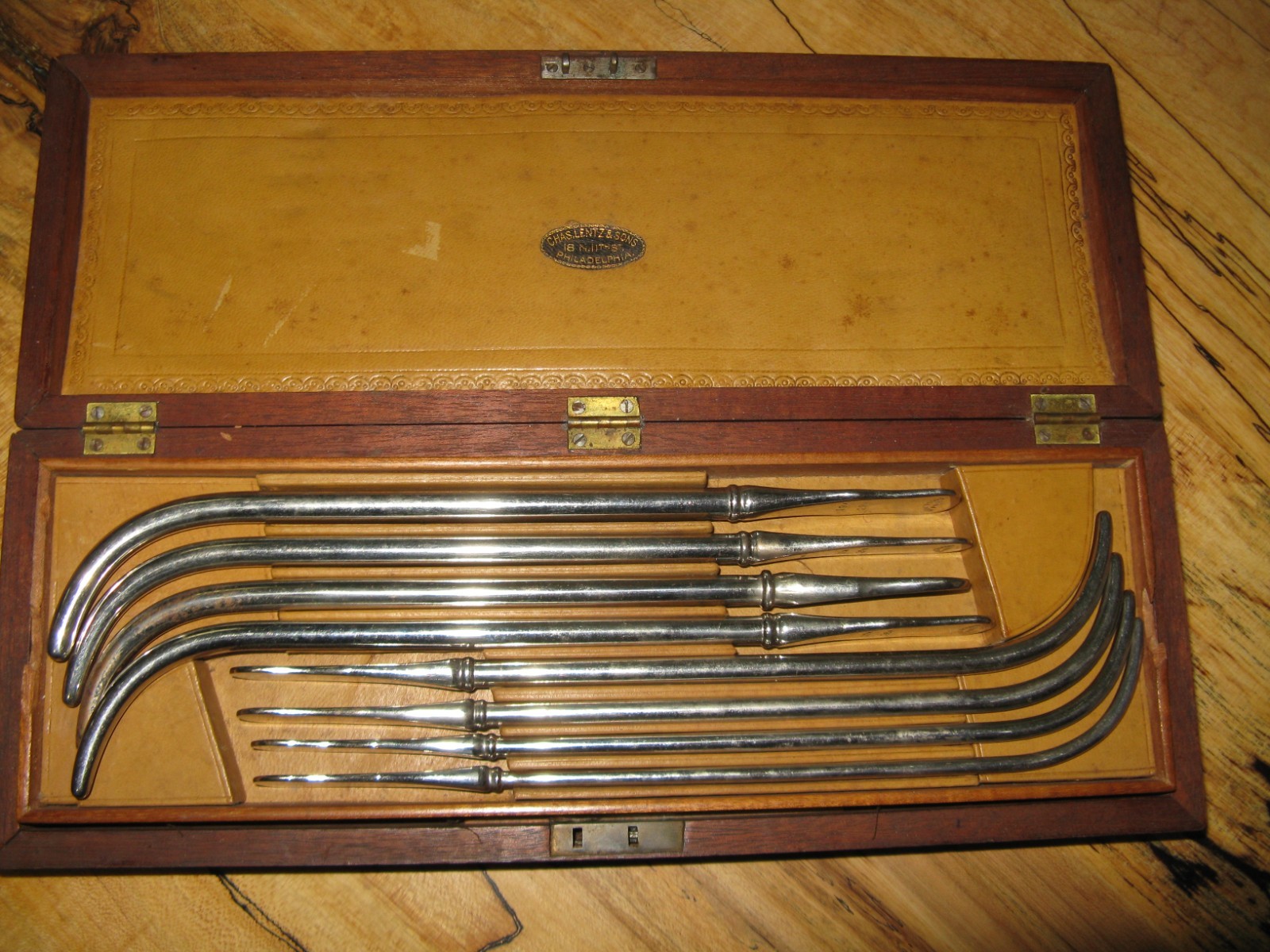 Urethral Dilators, Lentz & Sons, Philadelphia, Urology