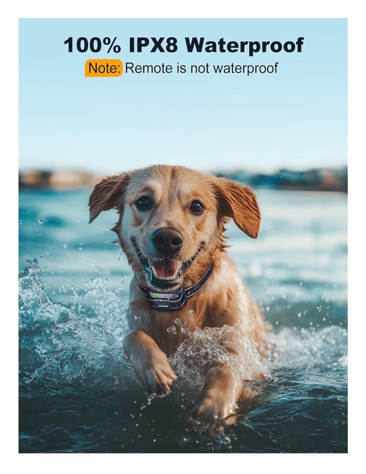 Dog Shock Collar - 4200FT Dog Training Collar with Remote