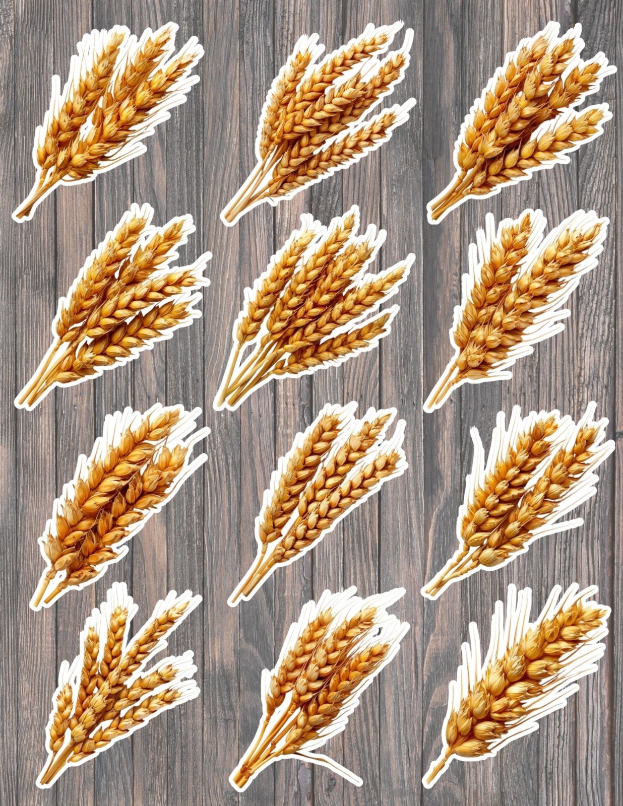 Bunch of Wheat Grain Cut Vinyl Stickers Scrapbooking Laptop Waterbottle