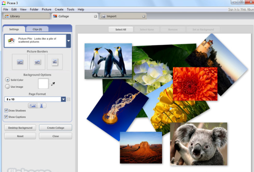 Picasa 3.9 Photo Editing & Management Software for Windows Picture Album Manager