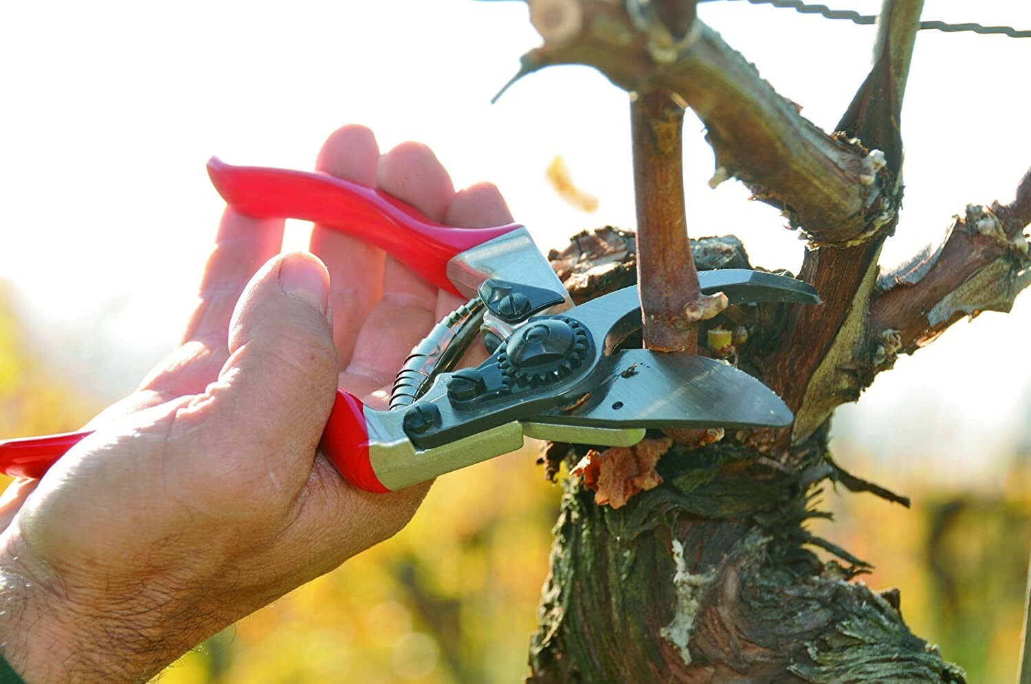 Felco 8 Ergonomic Model Bypass Pruning Shears Swiss Made Hand Pruner Shear F8