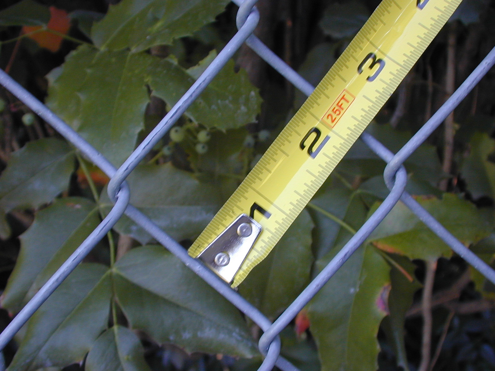 4 ft High Black Wave Slat™ Single Wall Privacy Chain Link Fence Slats