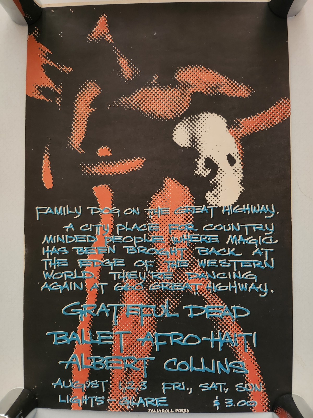 Original Grateful Dead Concert Poster For Family Dog on the Great  Highway
