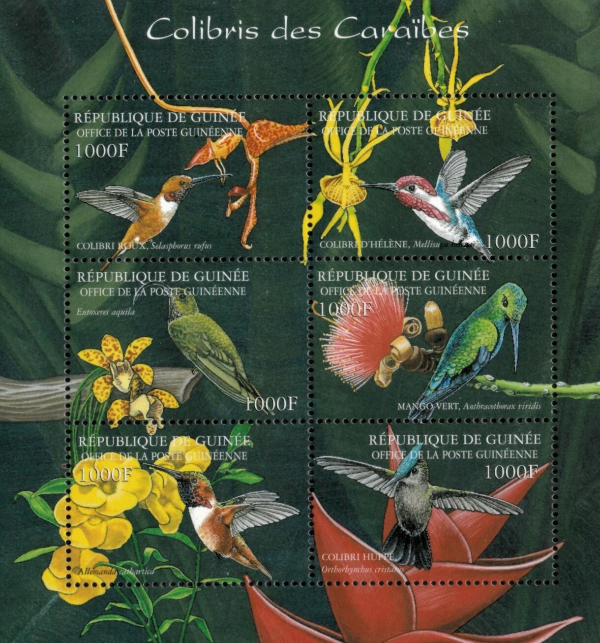 Guinea 2002 - Hummingbirds - Sheet of 6 Stamps - Scott #2042 - MNH