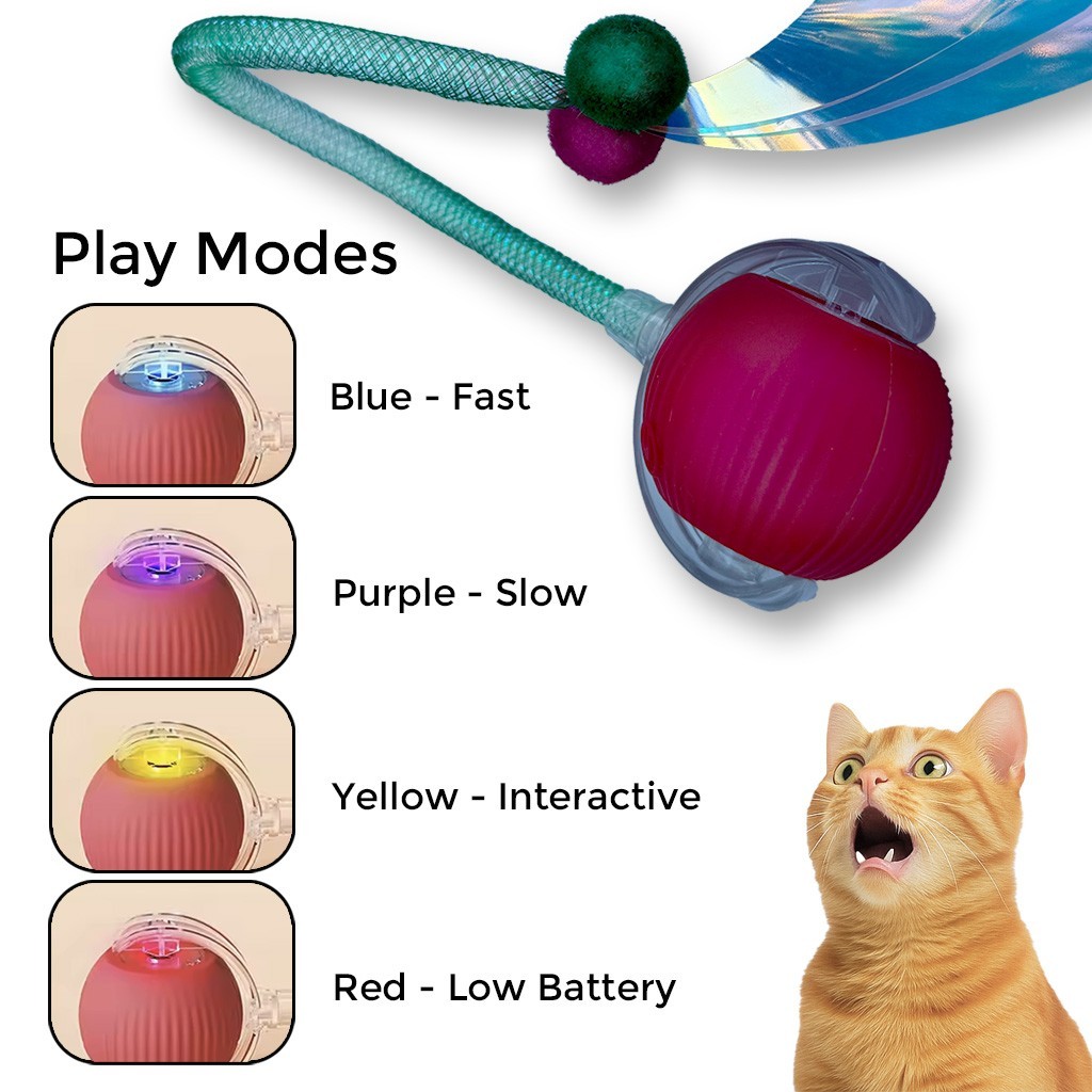 Automatic Rolling Ball for Cats – Rechargeable Smart Interactive Toy, Durable