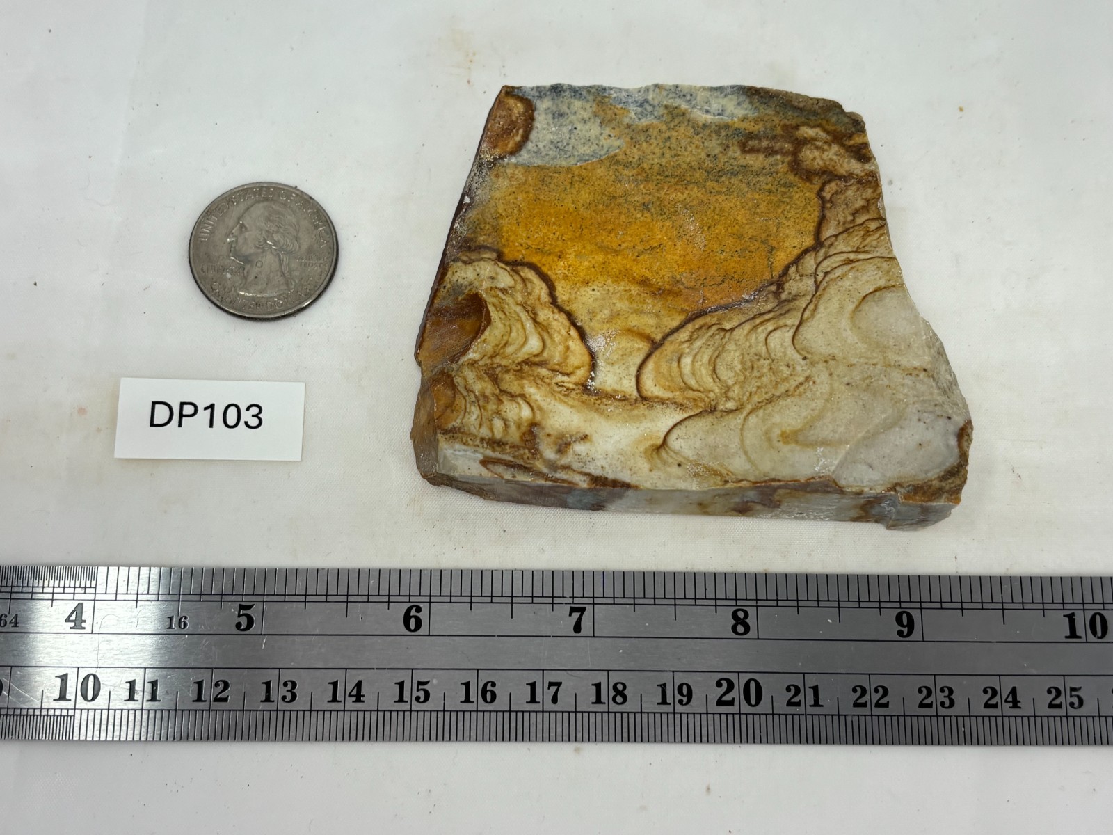 Disaster Peak Picture Jasper end slab Cabbing Lapidary Collecting Combo Ship Avl