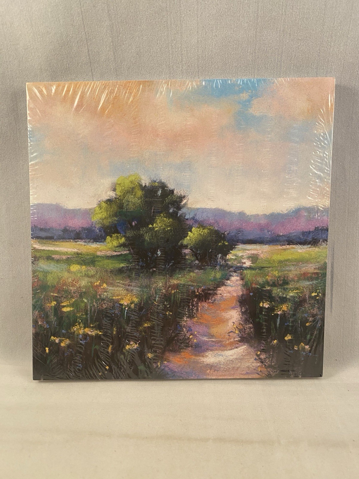 MEANDERING MEADOWS Designer Series Paper DSP Stampin Up Full Pack 48 Sheets 2602