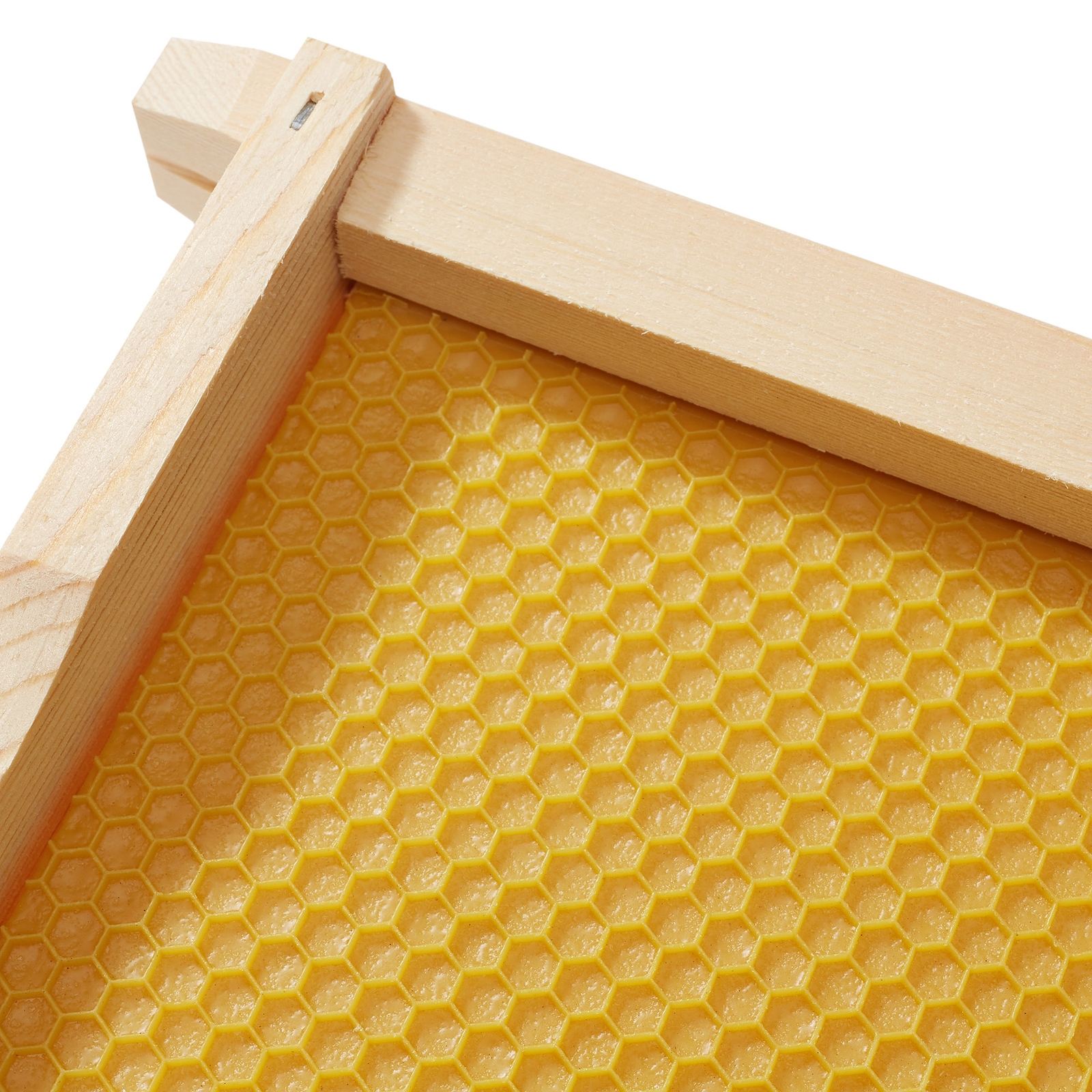 10 Assembled Beehive Frames, Coated Beeswax Foundations for Beekeeping, 6-1/4"
