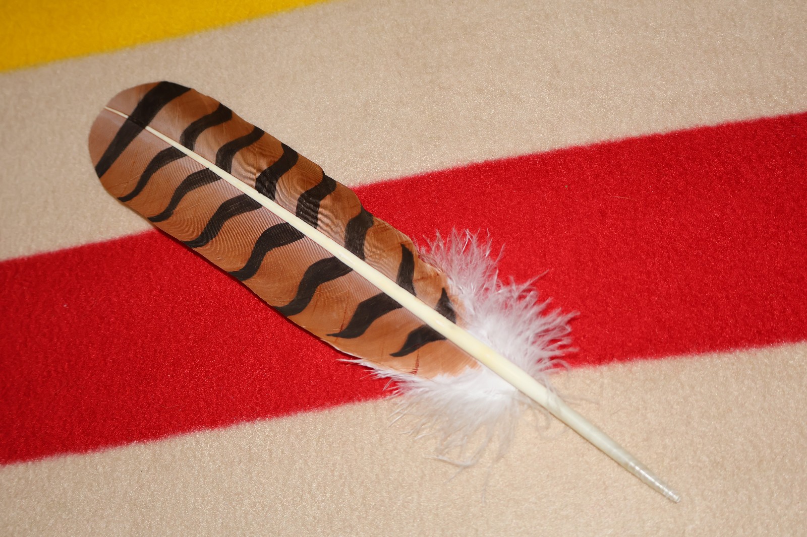 Native American hand painted Red-Tailed Hawk Feather