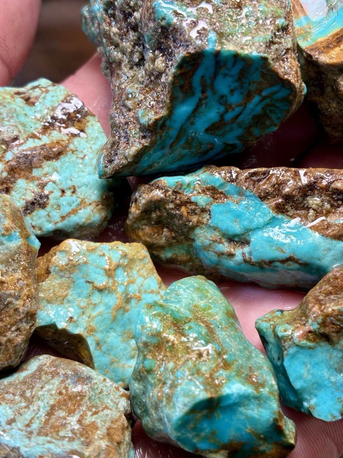 Turquoise Mountain - Kingman Blue Turquoise in Classic Red Matrix. 1 Lb.