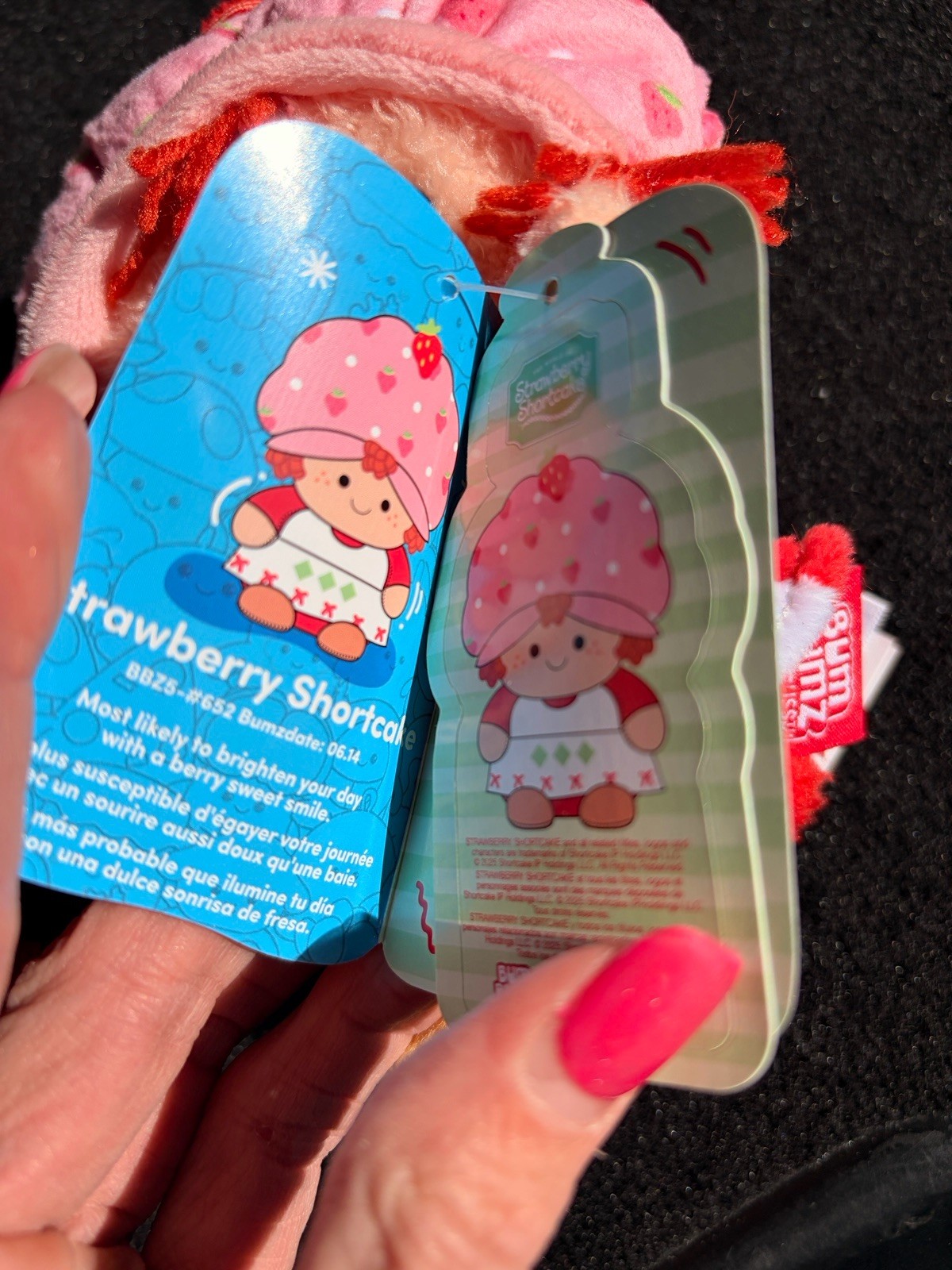 BumBumz Strawberry Shortcake & House Plush Set Of 2 Bum Bumz NEW