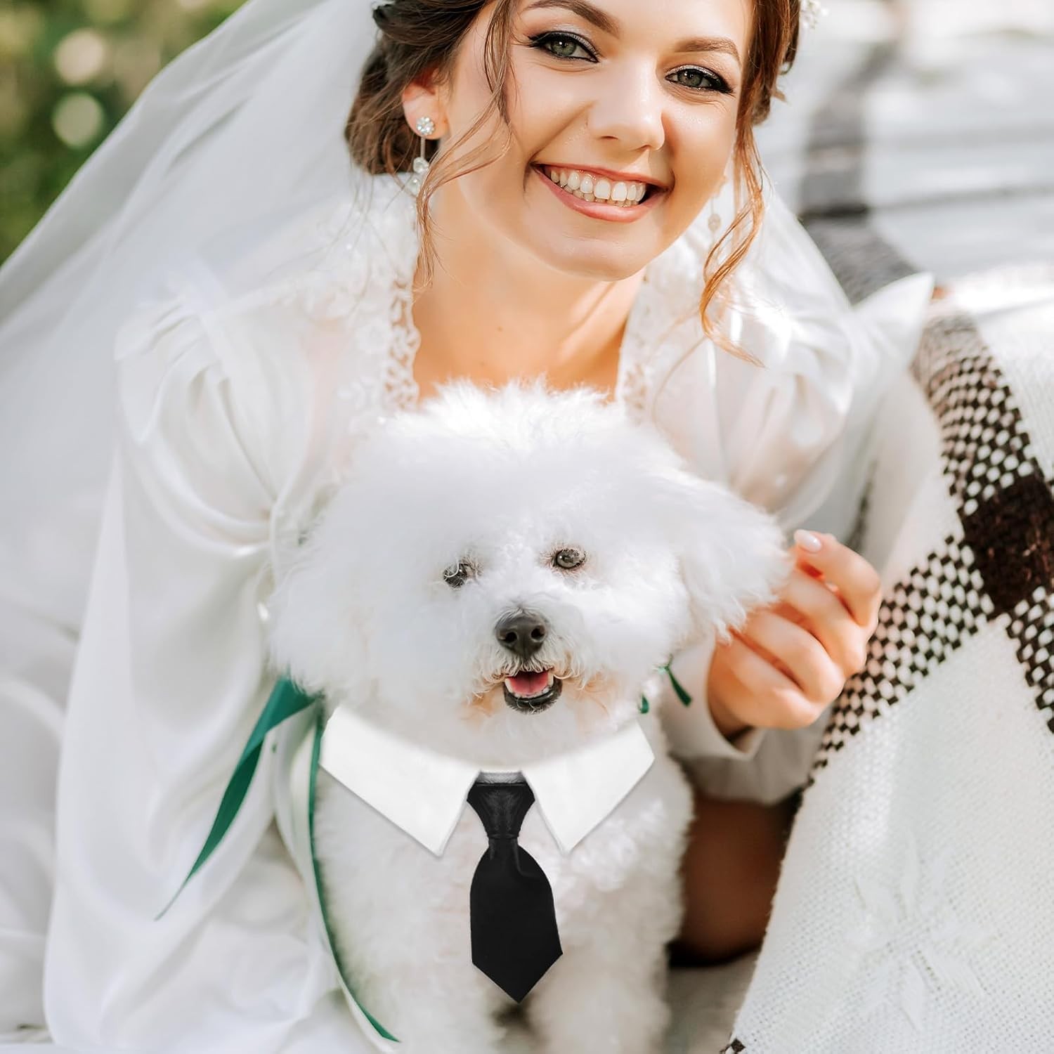 Black Cat Bow Tie Collar Adjustable Formal Necktie for Cats & Small Dogs