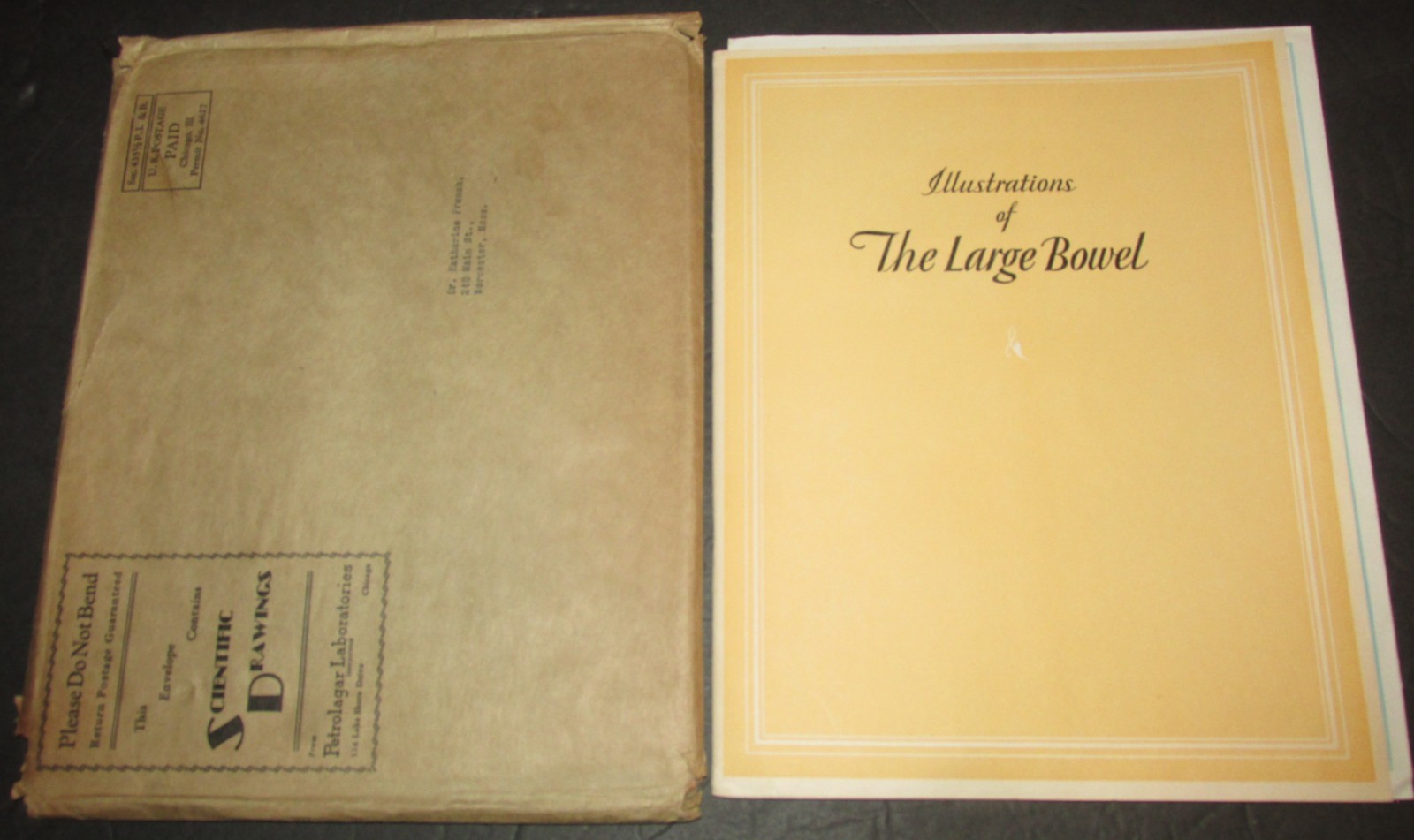 1929 Medical Booklet ILLUSTRATIONS OF THE LARGE BOWEL In Original Envelope