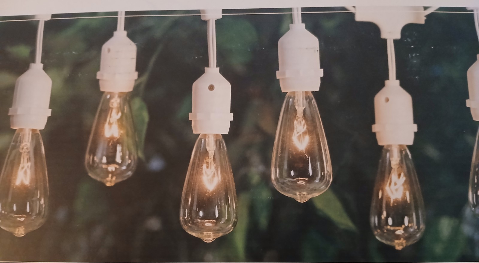 Edison Glass Bulb String Lights 25 Ct Plug-In Indoor Outdoor Home & Retreat