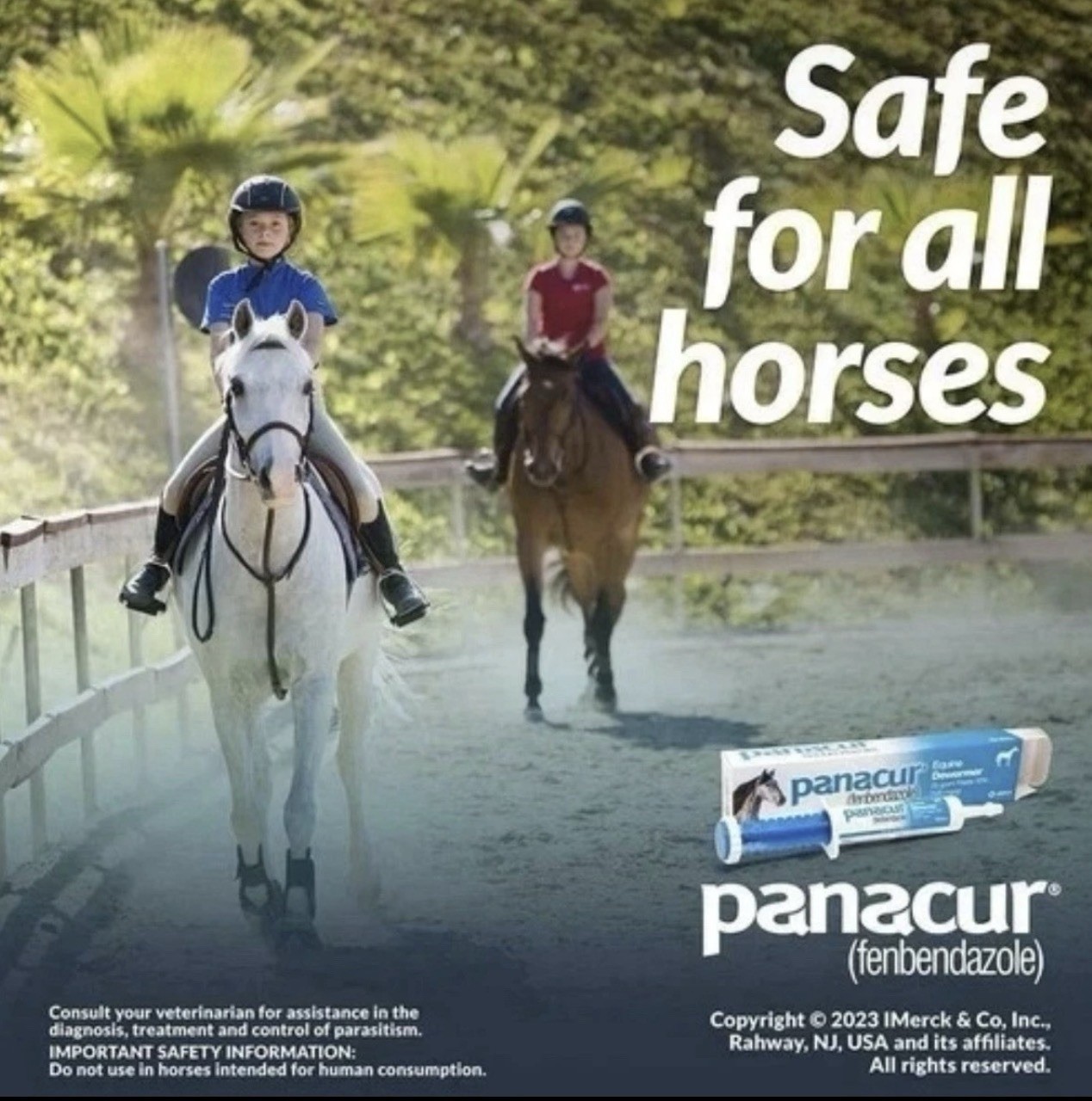 Panacur (3 Pack) Dewormer Horse Paste 10%, 100mg Each