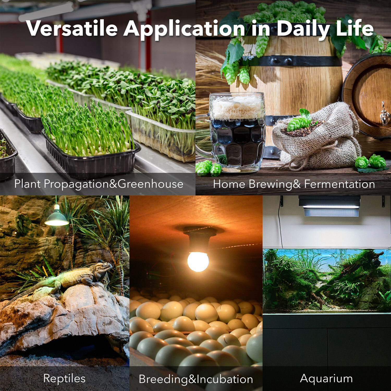 BN-LINK Digital Heat Mat Thermostat Controller For Greenhouse Seed Germination