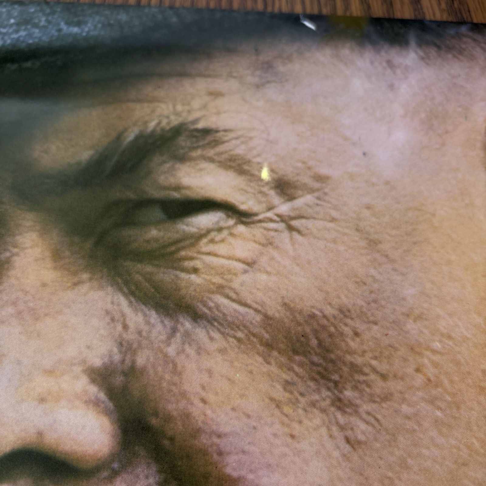 VTG 1973 Emperor of the North Movie Lobby Card Poster Kenneth Hyman Lee Marvin