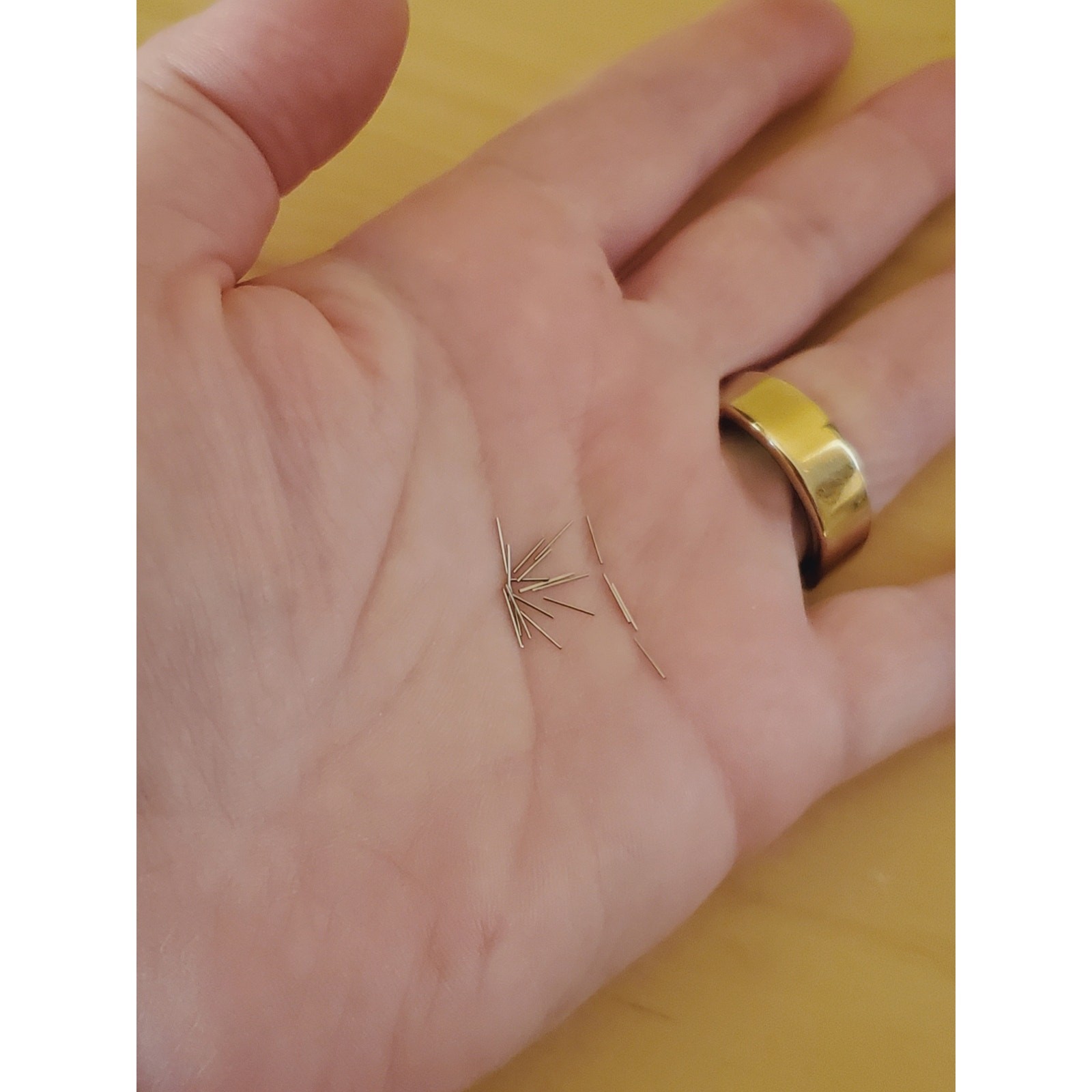 Stainless Steel Tumbling Media Pins 0.255in Magnetic Finishing Polishing 100g