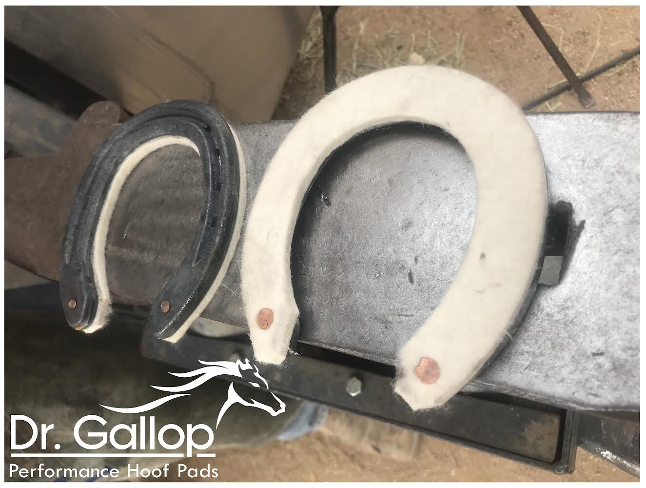 Horse Shoe Felt Pads