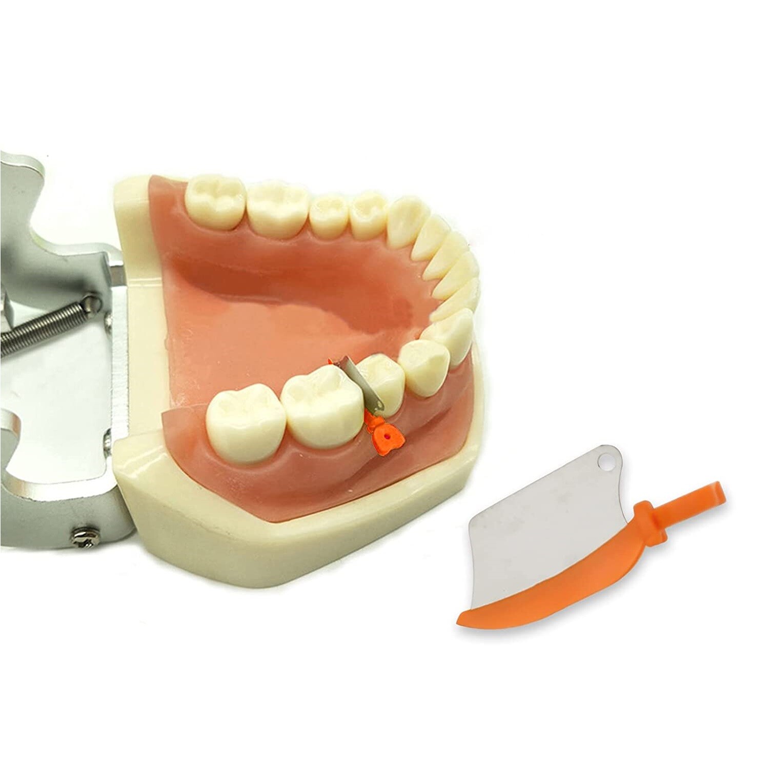 Dental Matrix Fender Wedges Prep Interproximal Diastema Wedge Guard L/M/S 50/Box