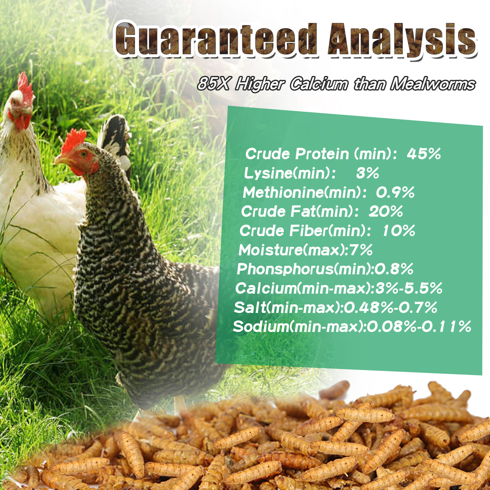 5-44LB Dried Black Soldier Fly Larvae Mealworms for Chicken Birds Treats Premium